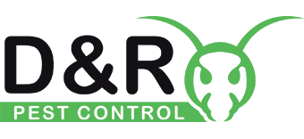 pest control enfield