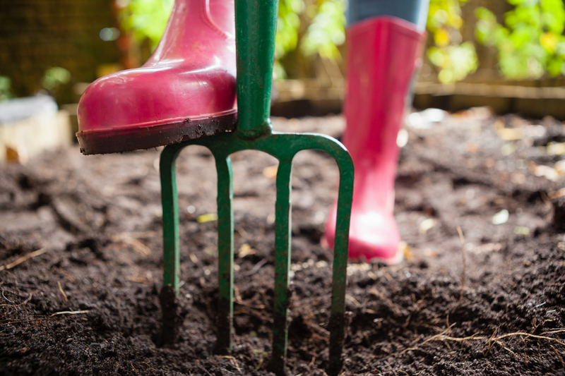 Backyard Maintenance You Shouldn't Be Neglecting