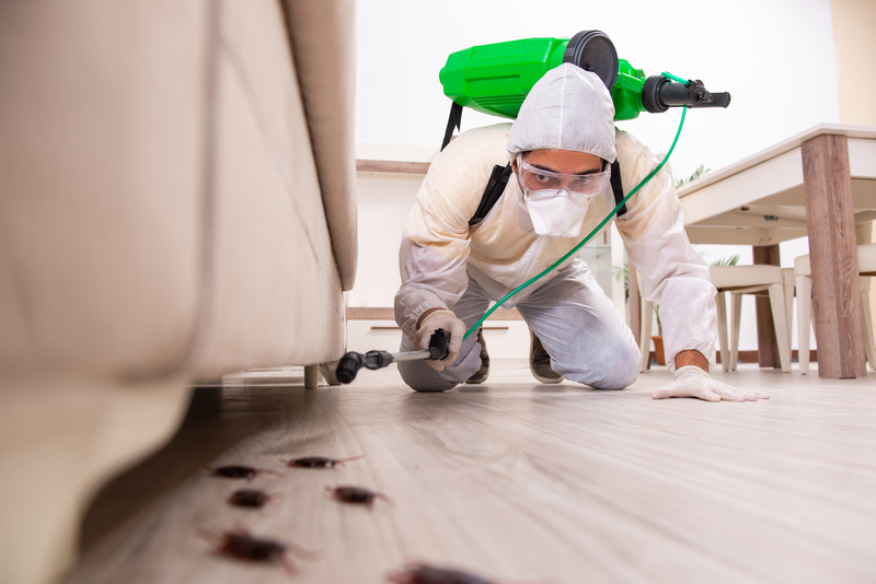 When You Should Call an Exterminator to Take Care of Pests